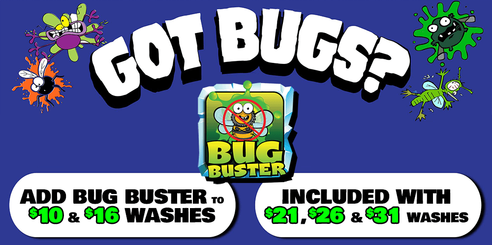 Got-Bugs_NEW